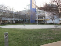 Google Headquarters Volleyball ground
