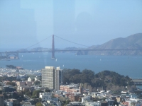 View from the Coit Tower 2