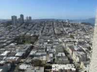 View from the Coit Tower 3